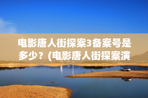 电影唐人街探案3备案号是多少？(电影唐人街探案演员表)