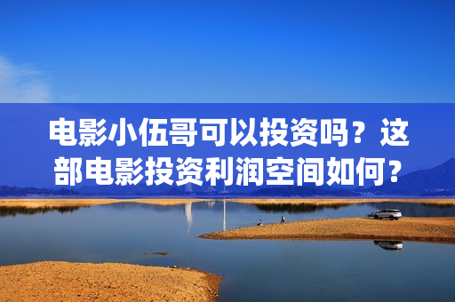 电影小伍哥可以投资吗？这部电影投资利润空间如何？(小伍哥电影百度百科)