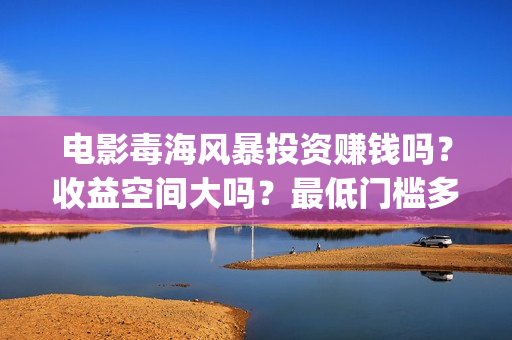 电影毒海风暴投资赚钱吗？收益空间大吗？最低门槛多少？(毒海风暴真实情况)