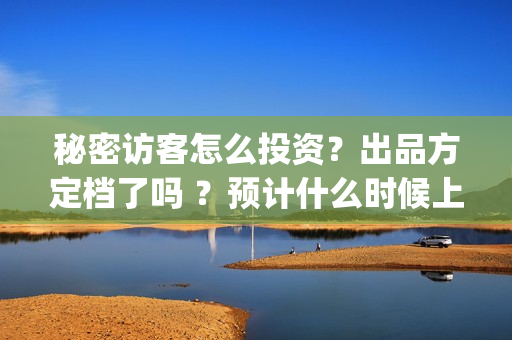 秘密访客怎么投资？出品方定档了吗 ？预计什么时候上映？(秘密访客访客)