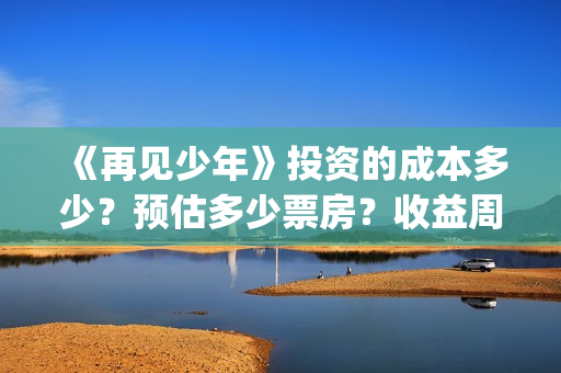 《再见少年》投资的成本多少？预估多少票房？收益周期多久？(再见少年电影出品方)
