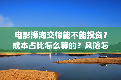 电影濒海交锋能不能投资？成本占比怎么算的？风险怎么评估？(电影濒海交锋能看到什么)