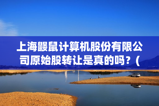 上海鼹鼠计算机股份有限公司原始股转让是真的吗？(上海计算机机构)