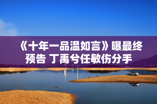 《十年一品温如言》曝最终预告 丁禹兮任敏伤分手