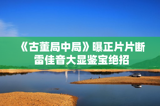 《古董局中局》曝正片片断 雷佳音大显鉴宝绝招