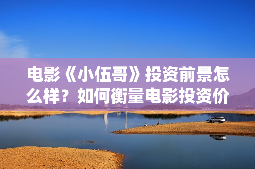 电影《小伍哥》投资前景怎么样？如何衡量电影投资价值？怎么投资？  (电影小伍哥出品方是谁)