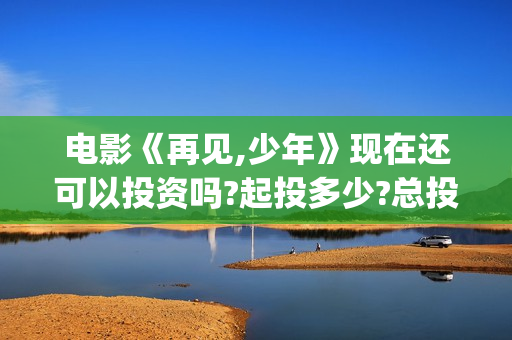 电影《再见,少年》现在还可以投资吗?起投多少?总投资成本多少?(再见 dia)