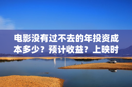 电影没有过不去的年投资成本多少？预计收益？上映时间(电影没有过不去的年免费播放)