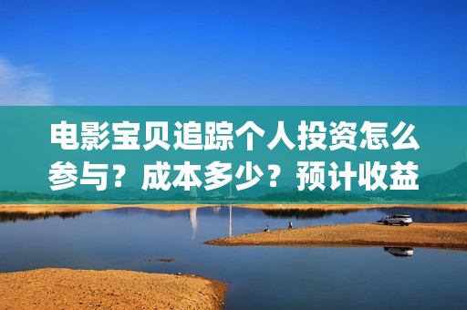 电影宝贝追踪个人投资怎么参与？成本多少？预计收益(宝贝追踪剧情介绍)