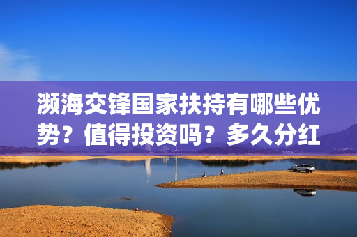 濒海交锋国家扶持有哪些优势？值得投资吗？多久分红？(濒海交锋能投吗)