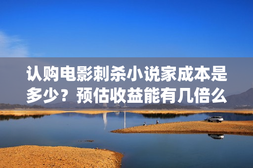 认购电影刺杀小说家成本是多少？预估收益能有几倍么？(刺杀小说电影简介)