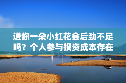 送你一朵小红花会后劲不足吗？个人参与投资成本存在溢价吗？(送你一朵小红花 歌曲)