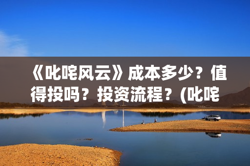《叱咤风云》成本多少？值得投吗？投资流程？(叱咤风云是何人)