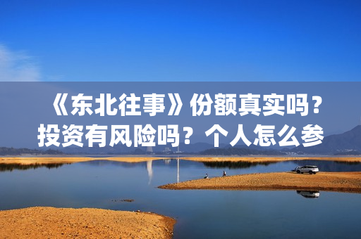 《东北往事》份额真实吗？投资有风险吗？个人怎么参与投资？(东北往事片段)