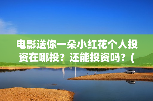 电影送你一朵小红花个人投资在哪投？还能投资吗？(电影送你一朵小红花演员表)