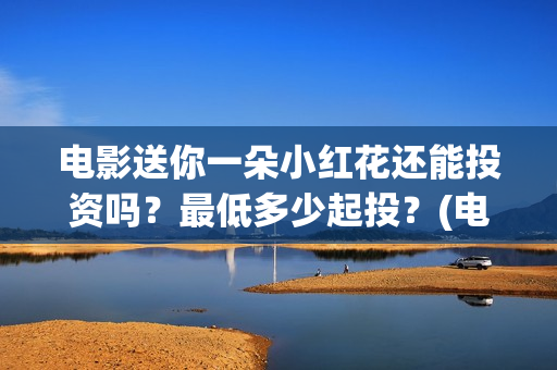 电影送你一朵小红花还能投资吗？最低多少起投？(电影送你一朵小红花讲述的主题是抗癌吗)