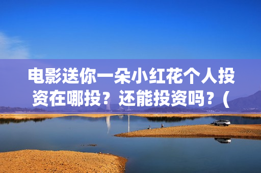 电影送你一朵小红花个人投资在哪投？还能投资吗？(电影送你一朵小红花简介)