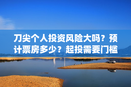 刀尖个人投资风险大吗？预计票房多少？起投需要门槛吗？(刀尖宣传片)