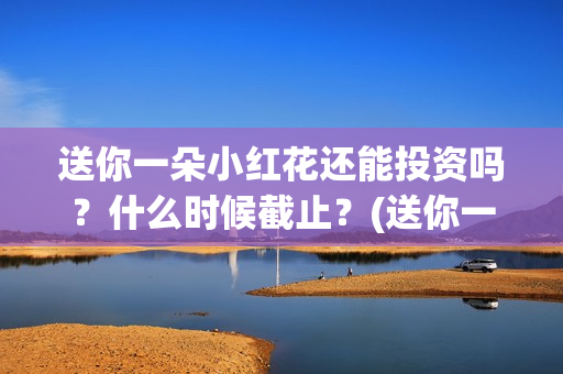 送你一朵小红花还能投资吗？什么时候截止？(送你一朵小红花电影)