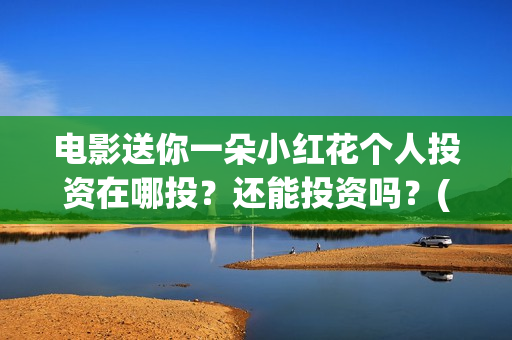 电影送你一朵小红花个人投资在哪投？还能投资吗？(电影送你一朵小红花讲述的主题是抗癌吗)