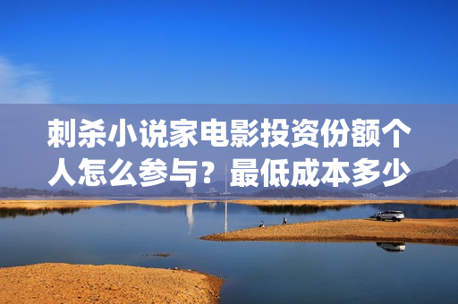刺杀小说家电影投资份额个人怎么参与？最低成本多少？(刺杀小说家电影什么时候上映)
