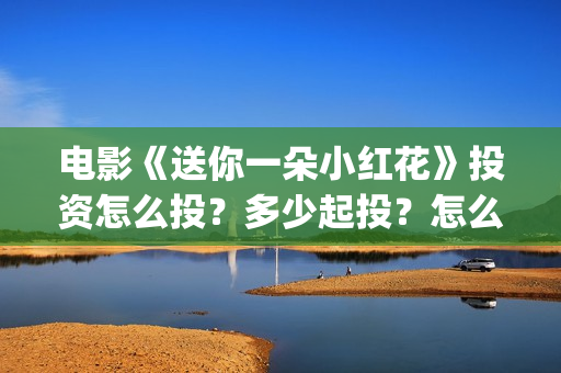 电影《送你一朵小红花》投资怎么投？多少起投？怎么正确认购？(电影送你一朵小红花讲述的主题是抗癌吗)