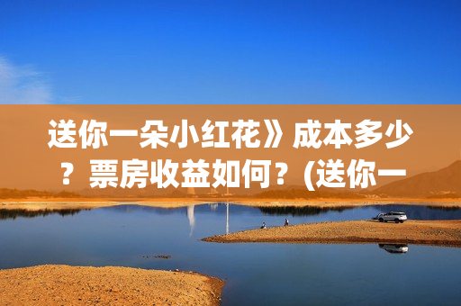 送你一朵小红花》成本多少？票房收益如何？(送你一朵小红花电影)