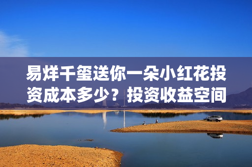 易烊千玺送你一朵小红花投资成本多少？投资收益空间大吗？(易烊千玺送你一朵小红花演唱会)