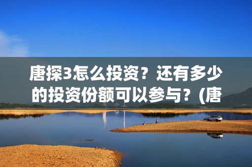 唐探3怎么投资？还有多少的投资份额可以参与？(唐探3如何)