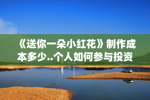 《送你一朵小红花》制作成本多少..个人如何参与投资..收益跟风险那个更大？(送你一朵小红花歌词)