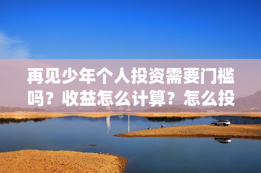 再见少年个人投资需要门槛吗？收益怎么计算？怎么投资？(再见少年个人投资真实吗)