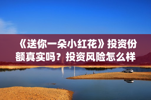 《送你一朵小红花》投资份额真实吗？投资风险怎么样？怎么(送你一朵小红花歌词表达什么意思)