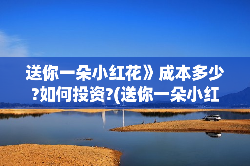 送你一朵小红花》成本多少?如何投资?(送你一朵小红花电影剧情介绍)