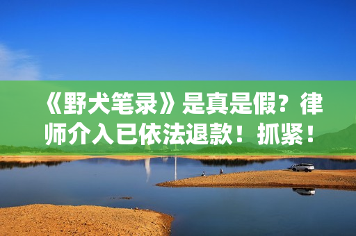 《野犬笔录》是真是假？律师介入已依法退款！抓紧！(野犬by尔七内容)