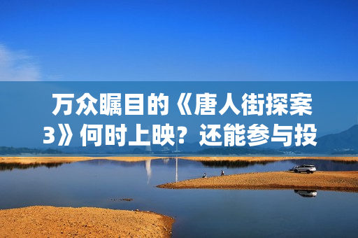  万众瞩目的《唐人街探案3》何时上映？还能参与投资吗？(万众瞩目写一篇作文)