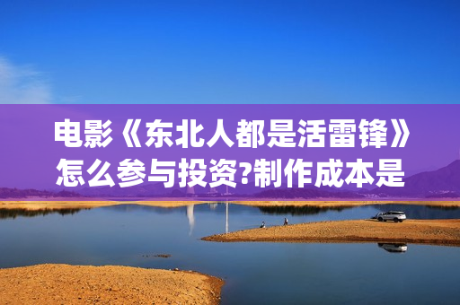 电影《东北人都是活雷锋》怎么参与投资?制作成本是多少?收益如何?(看东北人电影)