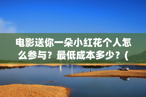 电影送你一朵小红花个人怎么参与？最低成本多少？(电影送你一朵小红花完整版免费观看)