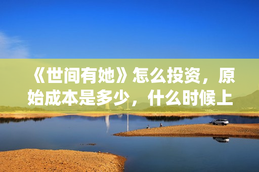 《世间有她》怎么投资，原始成本是多少，什么时候上映？(世间有她剧情)