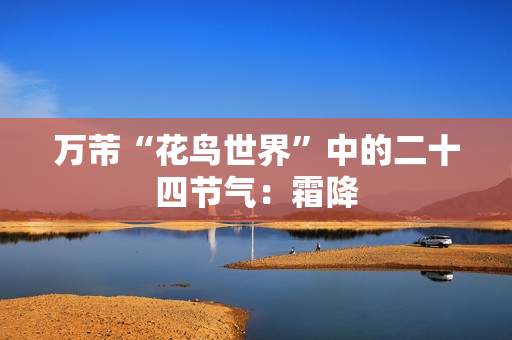 万芾“花鸟世界”中的二十四节气：霜降