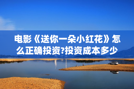 电影《送你一朵小红花》怎么正确投资?投资成本多少?(电影送你一朵小红花演员表)
