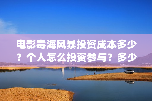 电影毒海风暴投资成本多少？个人怎么投资参与？多少起投？(毒海风暴 电影)