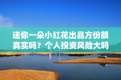 送你一朵小红花出品方份额真实吗？个人投资风险大吗？(送你一朵小红花歌词表达什么意思)