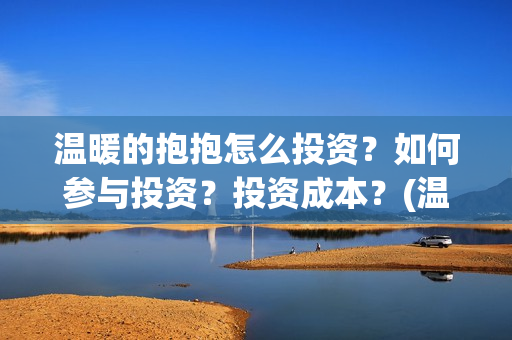 温暖的抱抱怎么投资？如何参与投资？投资成本？(温暖的抱抱解说视频)