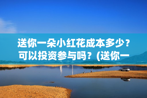 送你一朵小红花成本多少？可以投资参与吗？(送你一朵小红花电影免费观看)