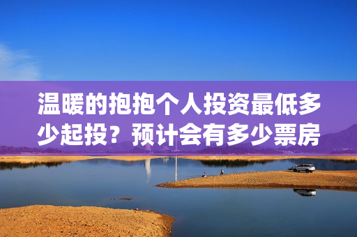 温暖的抱抱个人投资最低多少起投？预计会有多少票房？(温 暖的抱抱)