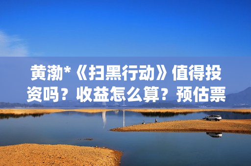 黄渤*《扫黑行动》值得投资吗？收益怎么算？预估票房多少？(电视剧扫黑暴)