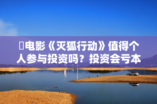 ☞电影《灭狐行动》值得个人参与投资吗？投资会亏本吗？怎么降低投资风险？