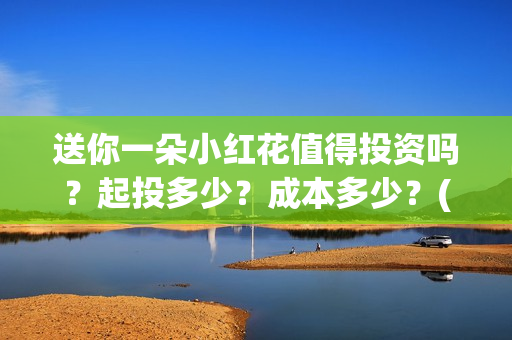 送你一朵小红花值得投资吗？起投多少？成本多少？(送你一朵小红花原唱)