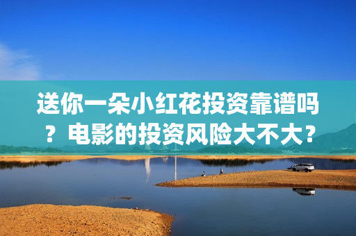 送你一朵小红花投资靠谱吗？电影的投资风险大不大？(送你一朵小红花电影)