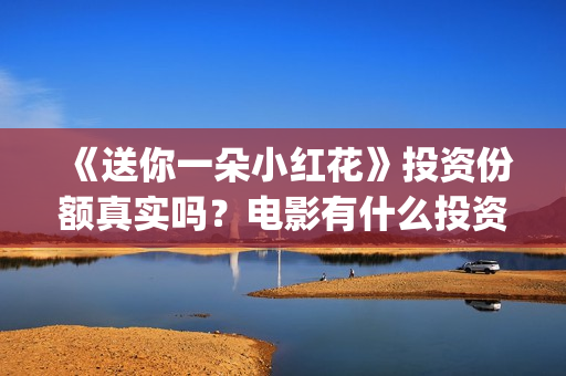 《送你一朵小红花》投资份额真实吗？电影有什么投资优势？回本票房多少？(送你一朵小红花免费观看完整版)